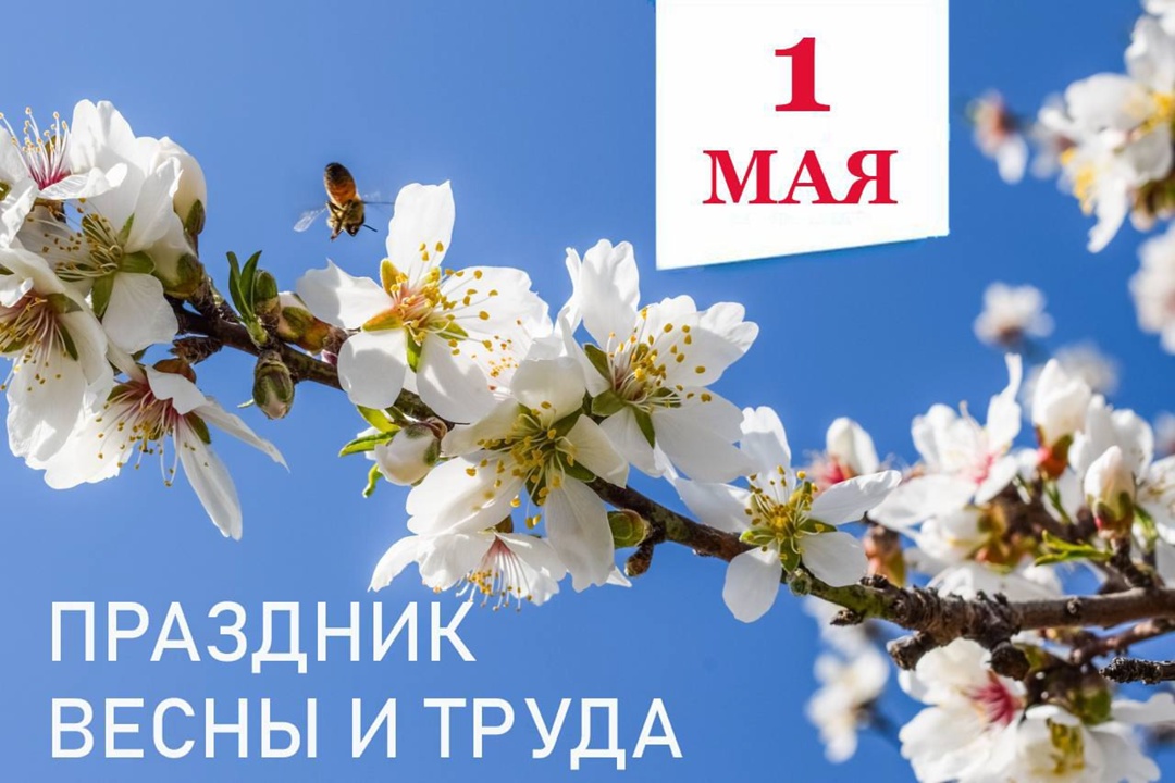 С Днём Весны и Труда.