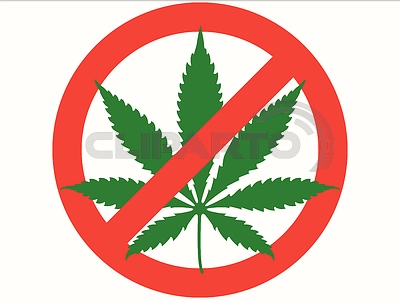 Информация для жителей об ответственности за незаконное культивирование наркотикосодержащих растений.