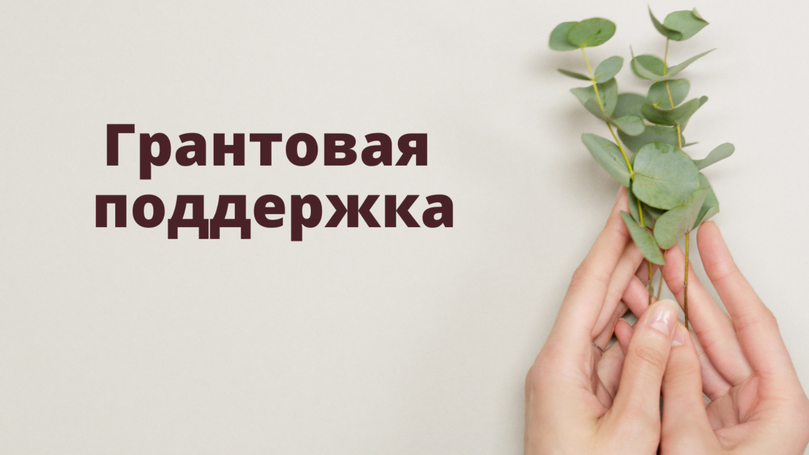 Конкурсный отбор по предоставлению грантов на развитие семейных ферм.