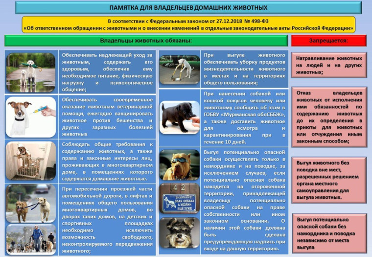 Памятка по ответственному обращению с животными.